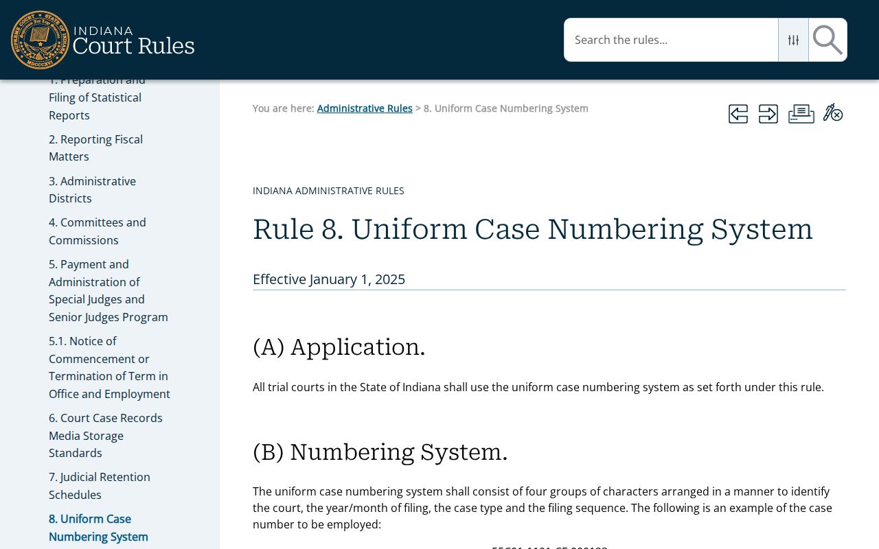 Sullivan County criminal court docket case-number rule